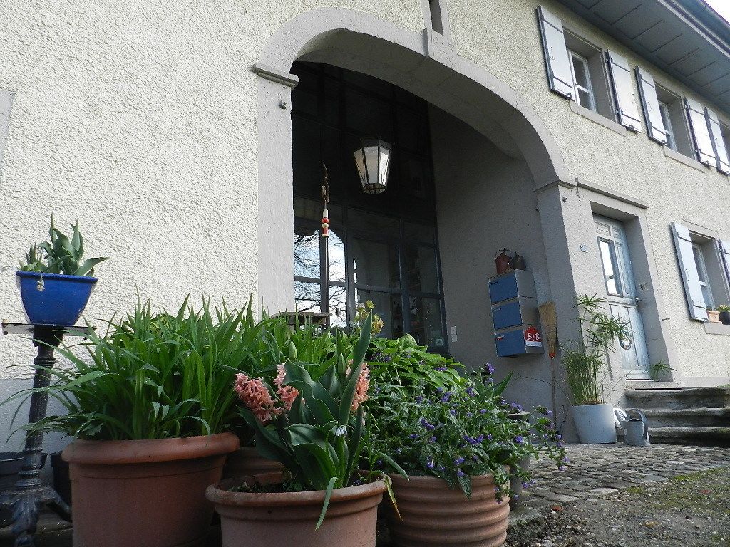 Una entrada de edificio con un arco de piedra, plantas en macetas y un farol azul.