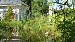 Une maison avec un toit en pente, entourée d’une végétation luxuriante et bordée d’un étang.