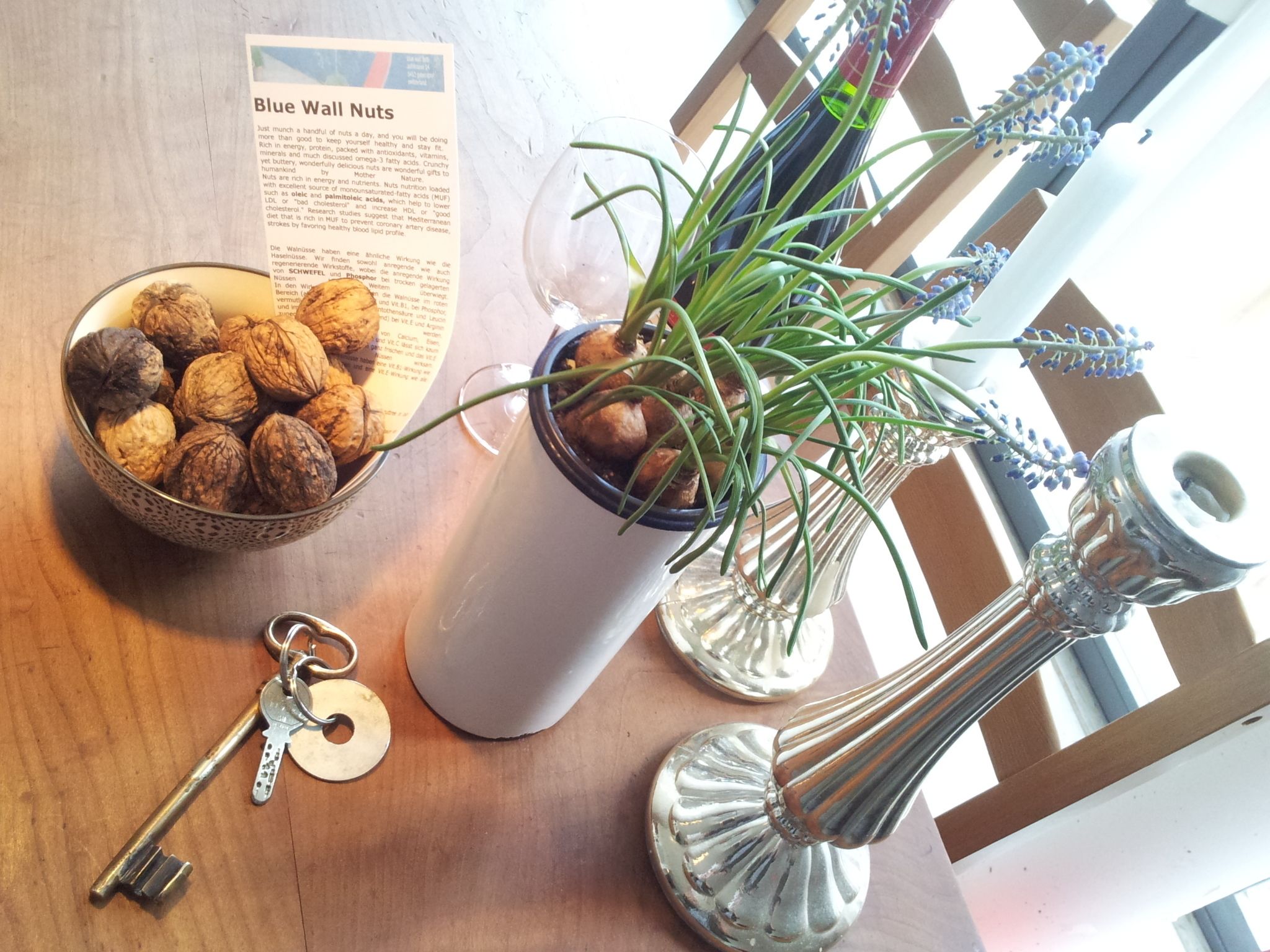 Una mesa de madera con un cuenco de nueces, una planta en maceta, un jarrón y una llave.