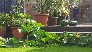 A garden with potted plants and a small pumpkin on the steps.