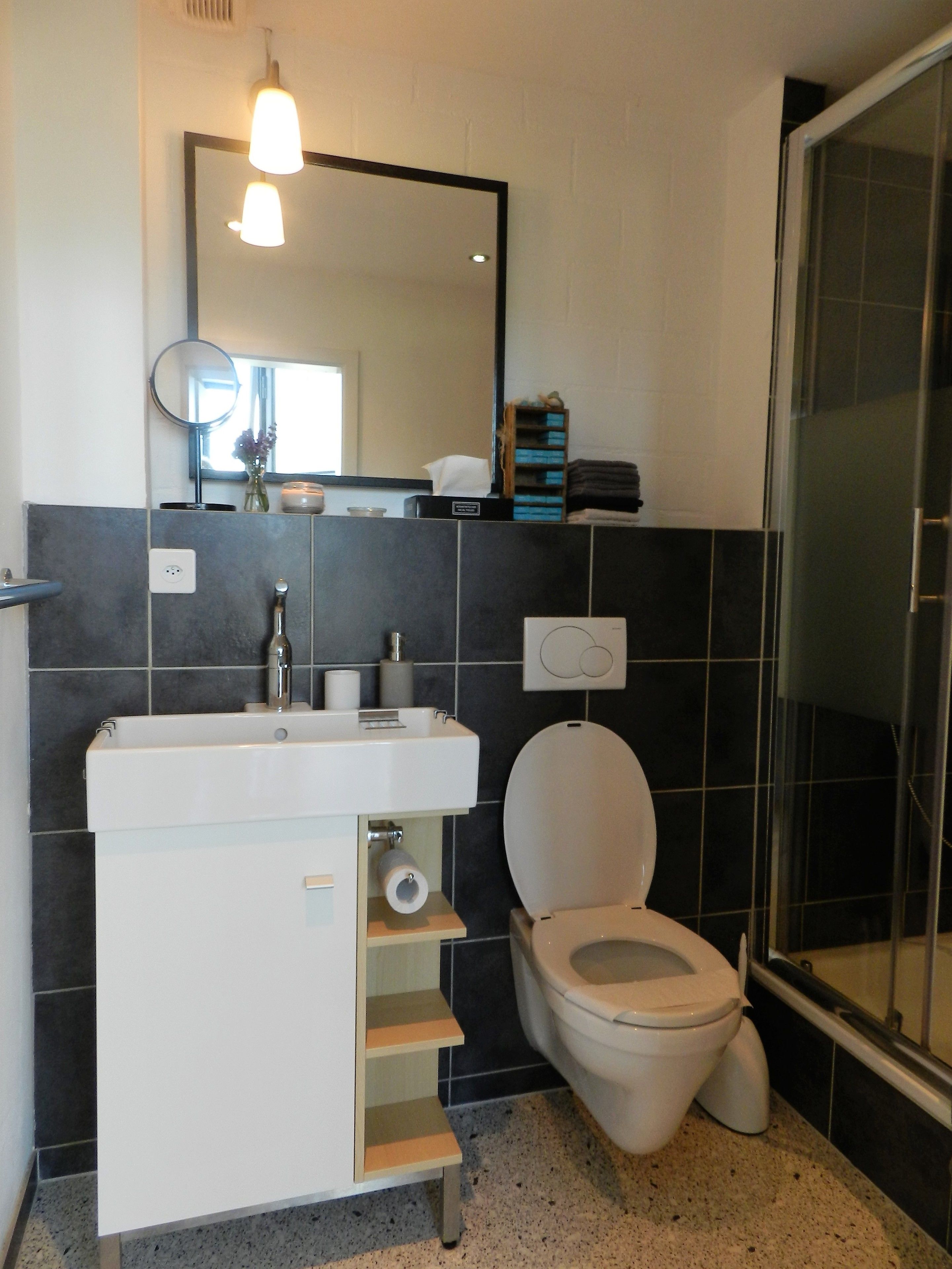 A modern bathroom with a white sink, a toilet, a mirror, and a shower area.