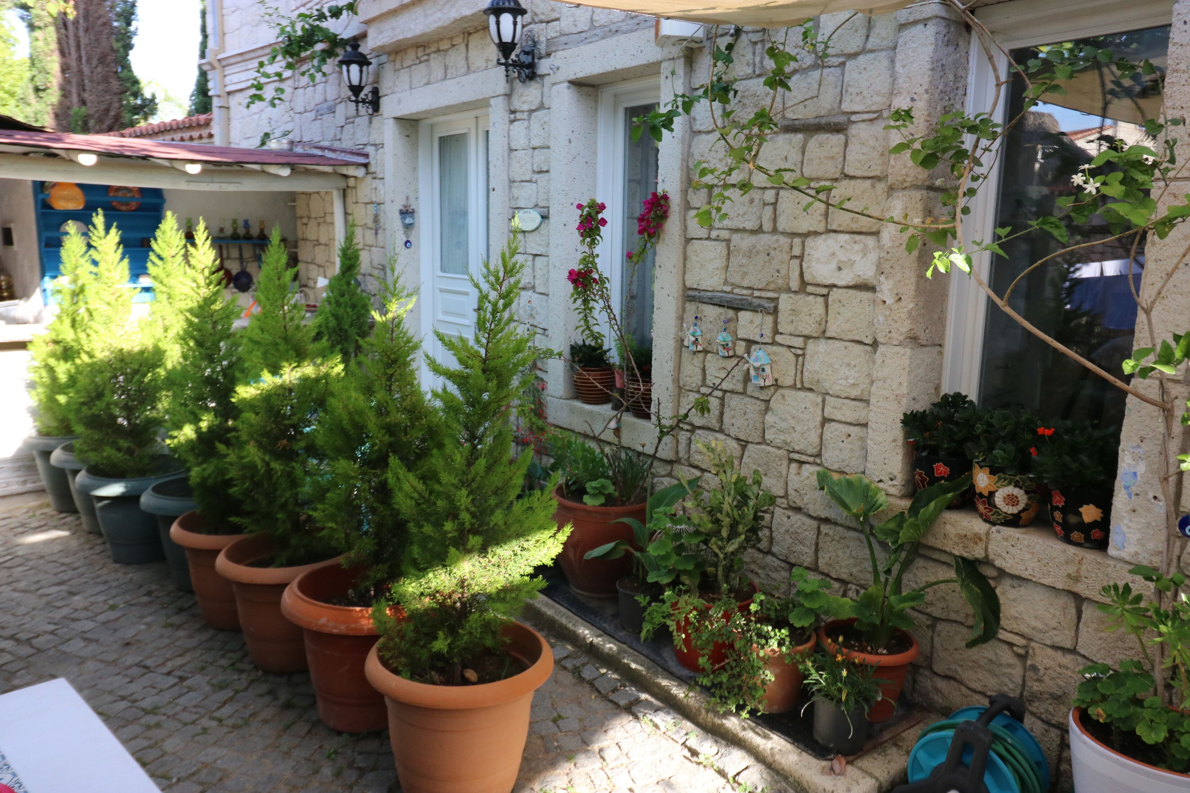 superior room | living area | 31-inch lcd tv with satellite channels, tv, books