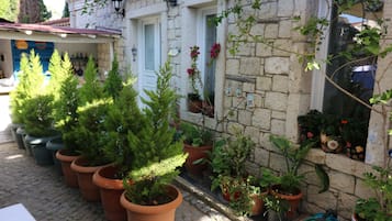 Televisión LCD, libros, impresora