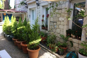 Superior Room | Living area | 31-inch LCD TV with satellite channels, TV, books - Galya Otel Alacati (Cesme)