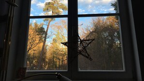 A room with a large window divided into four panes, offering a view of trees and a clear sky.