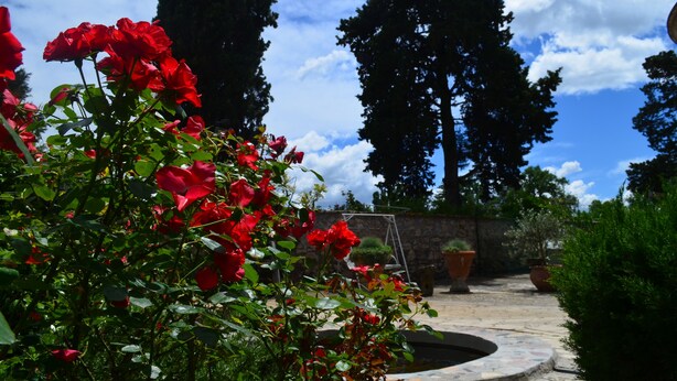 Jardín