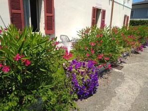 Property grounds - Albergo Grifone 1891 (Peschiera del Garda)
