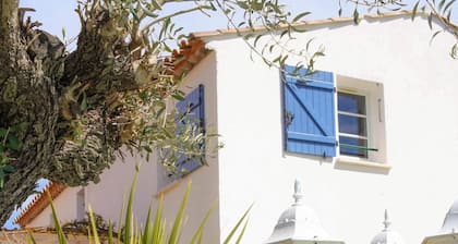 Exceptionnel : villa et piscine en Pic Saint-Loup ! Environnement de rĂȘve