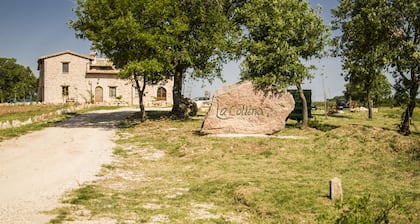 Agriturismo La Collina