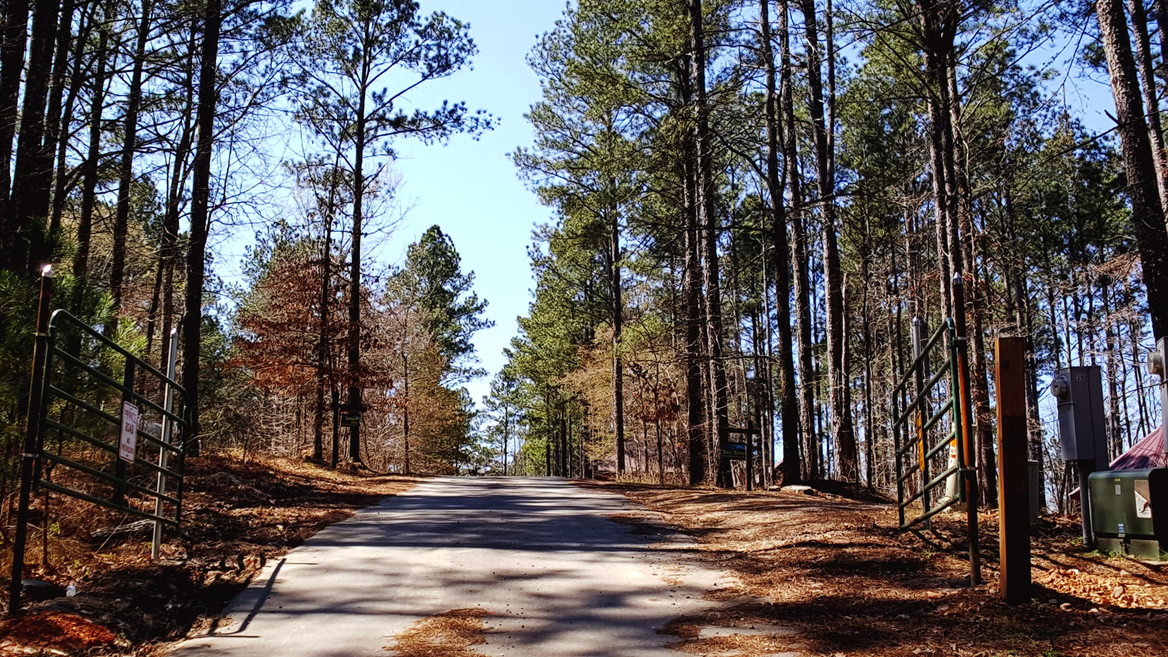 A paved road flanked by tall trees, with a metal gate on the left and a utility box on the right.