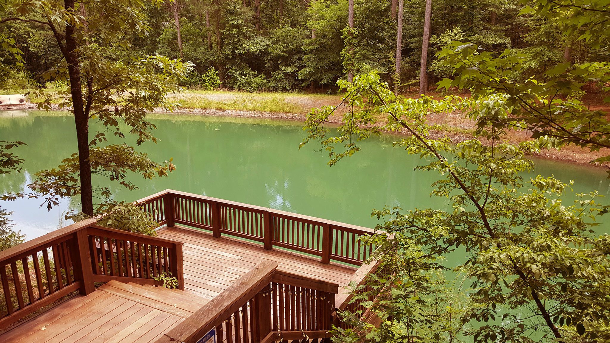 Un pontile di legno con vista su un lago tranquillo, circondato da una fitta foresta.