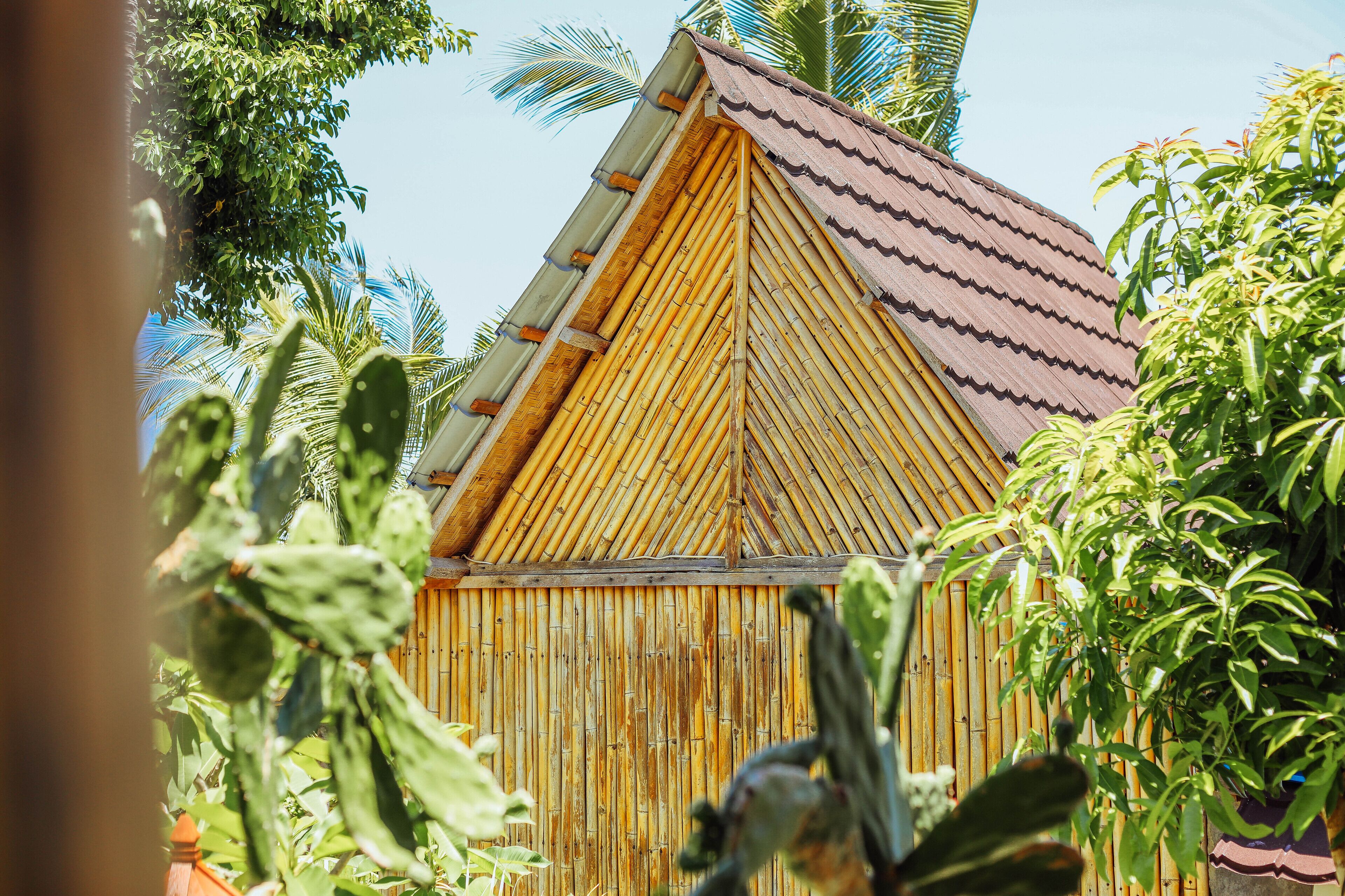 A bamboo structure with a corrugated metal roof, surrounded by tropical vegetation.