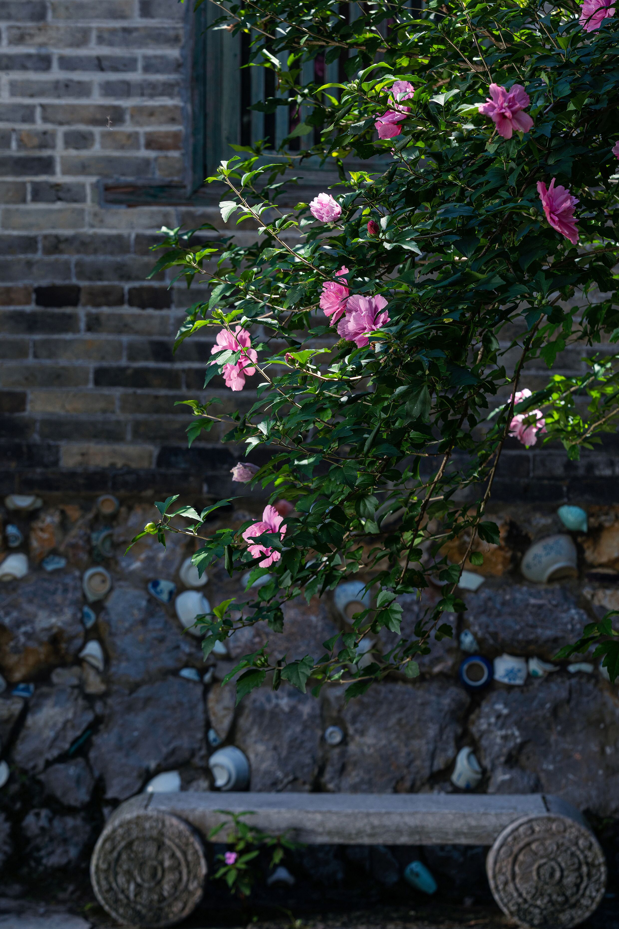 Un jardín con flores rosas y un muro de piedra.