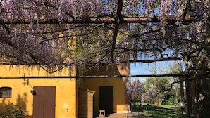Un bâtiment jaune avec une porte marron et un petit banc en bois devant.