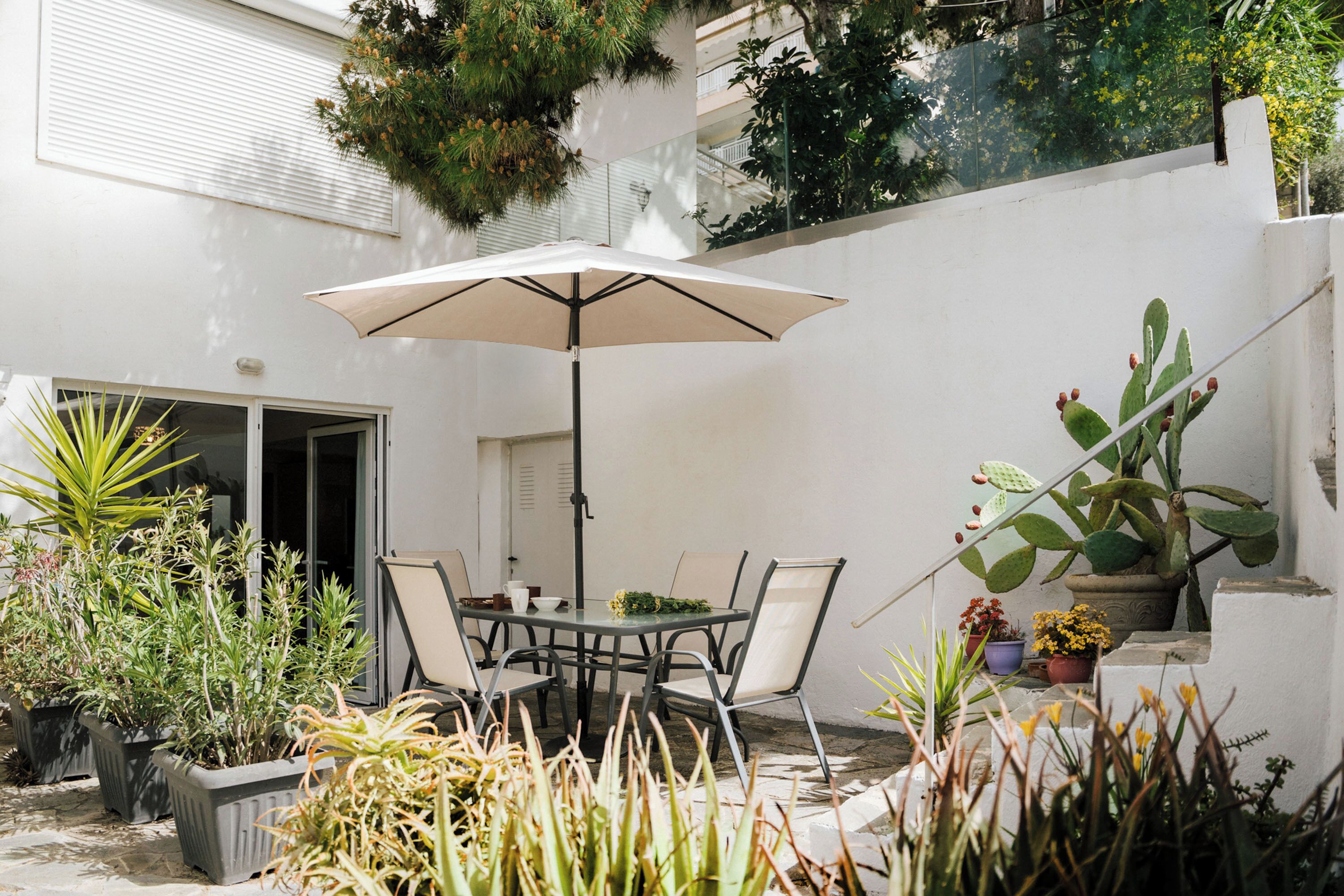 A patio with a table and chairs, surrounded by potted plants and a cactus.