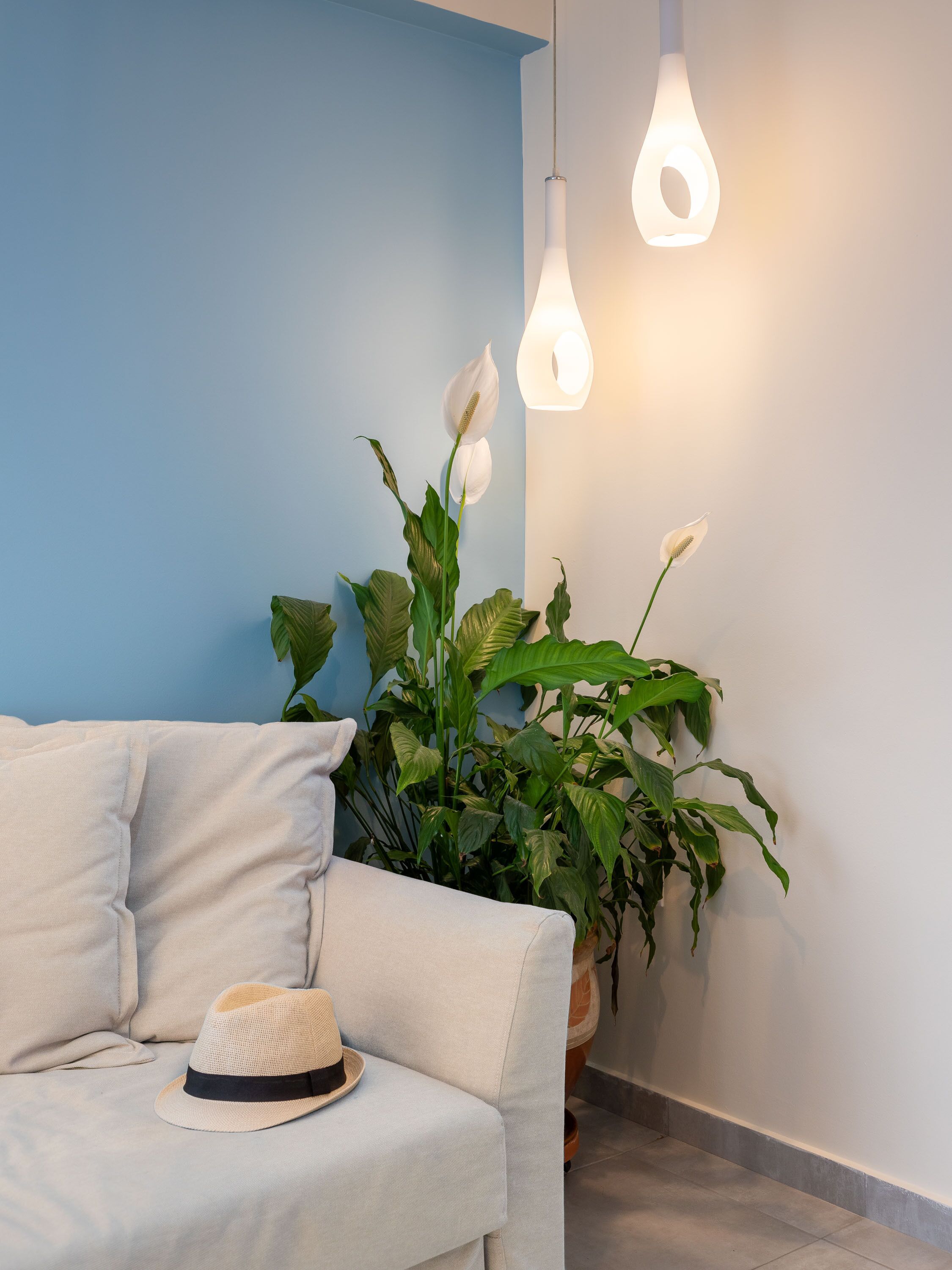 Una sala de estar moderna con un sofá de color claro, una planta en maceta y un sombrero sobre el sofá.