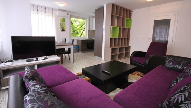 Apartment, 1 Double Bed with Sofa bed, Smoking, City View | Living room | LED TV - Sarajevo Apartments (Sarajevo)