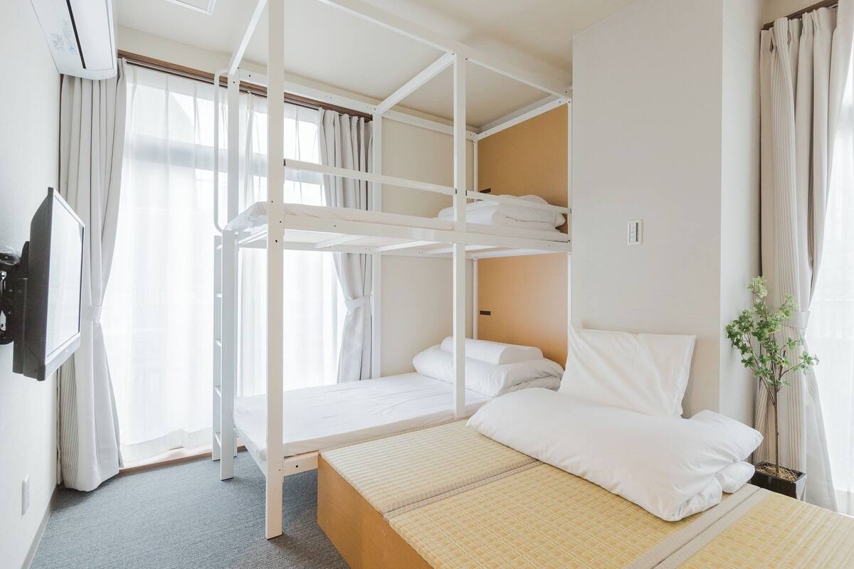Habitación con literas, televisión, cortinas y una planta en maceta.