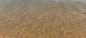 COZY,Newly renovated,West Shores ,short walk to Nasons Beach 🏖🏠