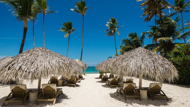 A beach with thatched umbrellas and lounge chairs, palm trees, and a clear blue sky.