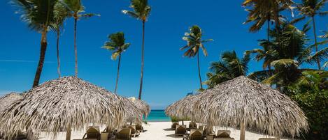 Plage à proximité, chaises longues, serviettes de plage