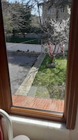 Vista a través de una ventana que muestra un jardín con un árbol pequeño, un camino de piedra y una pared blanca al fondo.