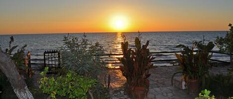 A sunset view over the ocean with a stone pathway leading to a gate, surrounded by potted plants.