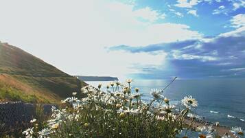 A coastal landscape with a field of daisies in the foreground and a view of the ocean and distant land.