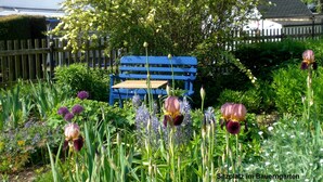 Un jardin avec un banc bleu, différentes sortes de fleurs et un bâtiment blanc en arrière-plan.