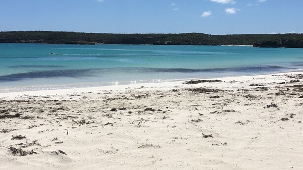 A beach with clear turquoise water, white sand, and a distant forested area.