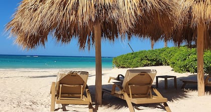 Villa Delmar in Iberostar Bavaro with private beach, Pool, jacuzzi, golf club