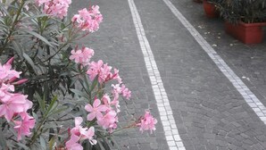 مدخل المنشأة