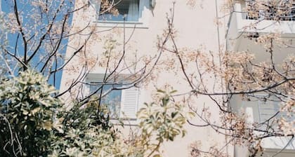 Best House Nirvana Patra