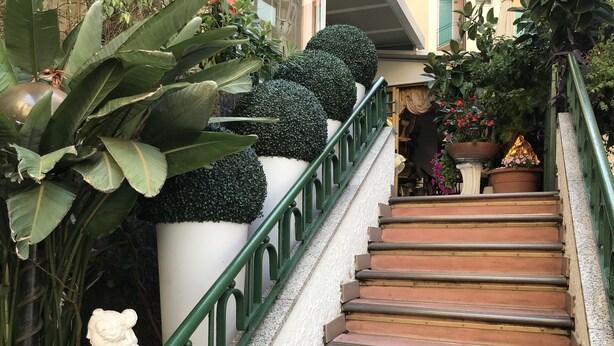 A staircase with green railings, surrounded by large potted plants and a statue. - Hotel Claridge (Rapallo)