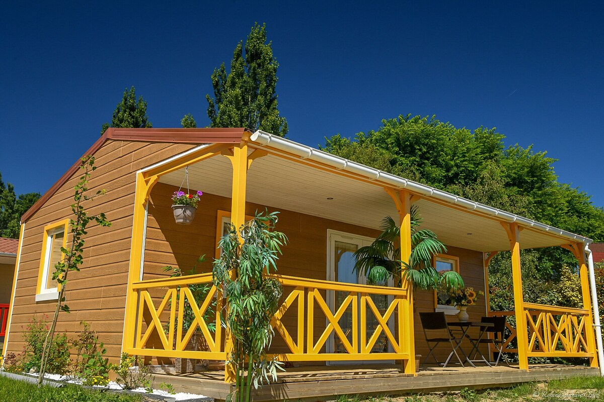 Imagen de perfil del propietario o de la propietaria