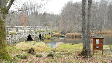 Sjö