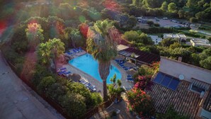 A pool surrounded by palm trees and lounge chairs, with a view of mountains in the background. - Residence Fium del Cavo (Zonza)