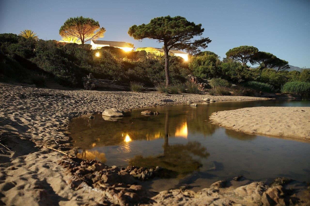 A beach with a small pond, trees, and a building with lights in the background.