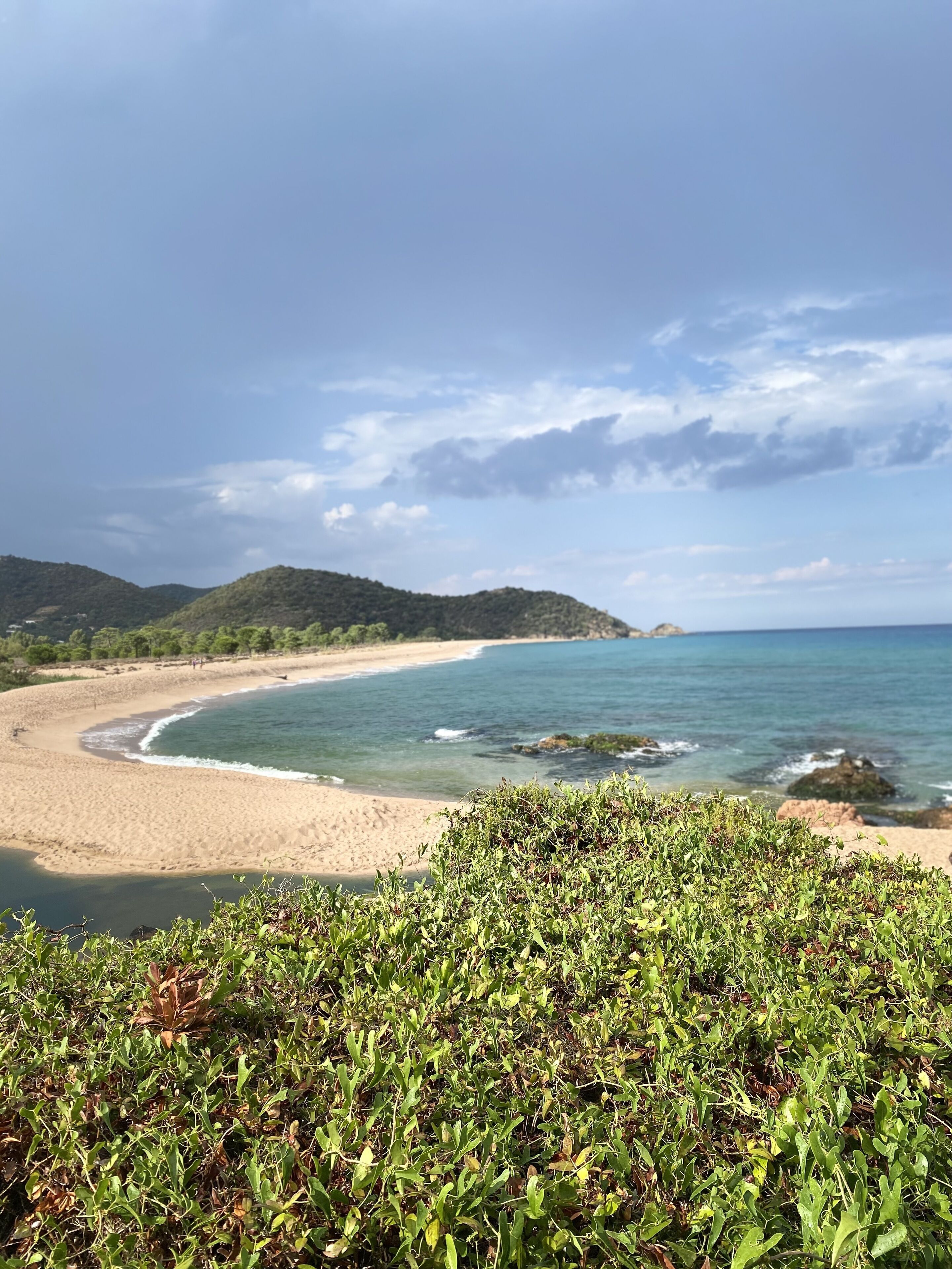 A beach with clear skies, a sandy shore, and green vegetation in the foreground.