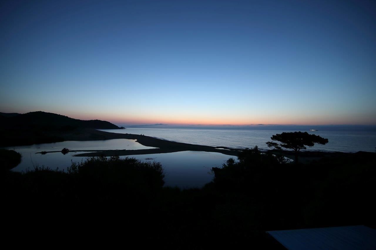 Kystlandskab med roligt vand, et træ og en fjer shoreline.