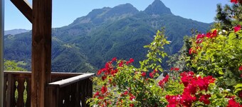 Mountain chalet for 10, Pra Loup, balcony & fireplace