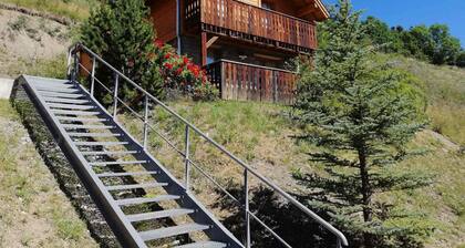 Chalet 10 pers., terrasse, cheminée à Pra-Loup
