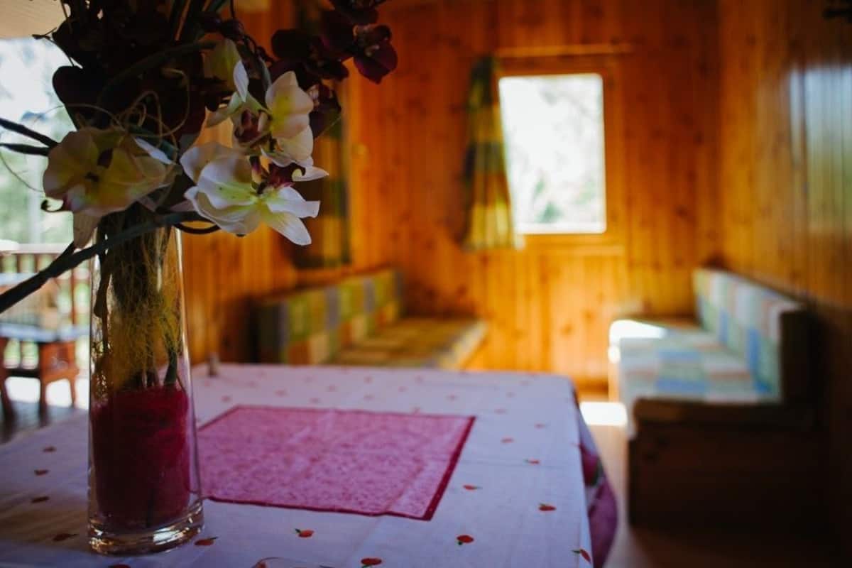 A wooden cabin interior with a table featuring a vase of flowers and a pink placemat.