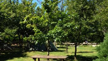 Barbecue/picknickplaats