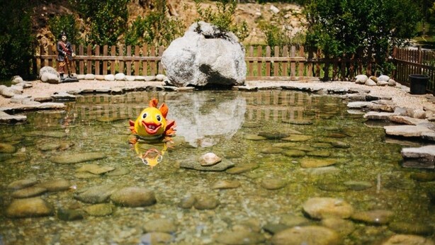 A clear pond with a toy fish in the center, surrounded by rocks and a wooden fence.