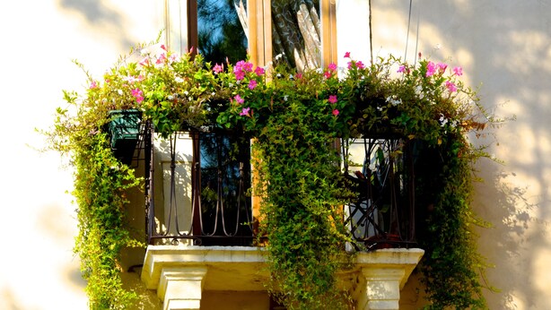Exterior - Bed&Breakfast Santo Stefano (Verona)