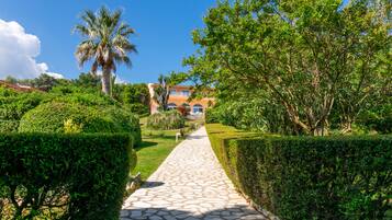 A stone pathway leading to a building with a red roof, surrounded by lush greenery and a palm tree.