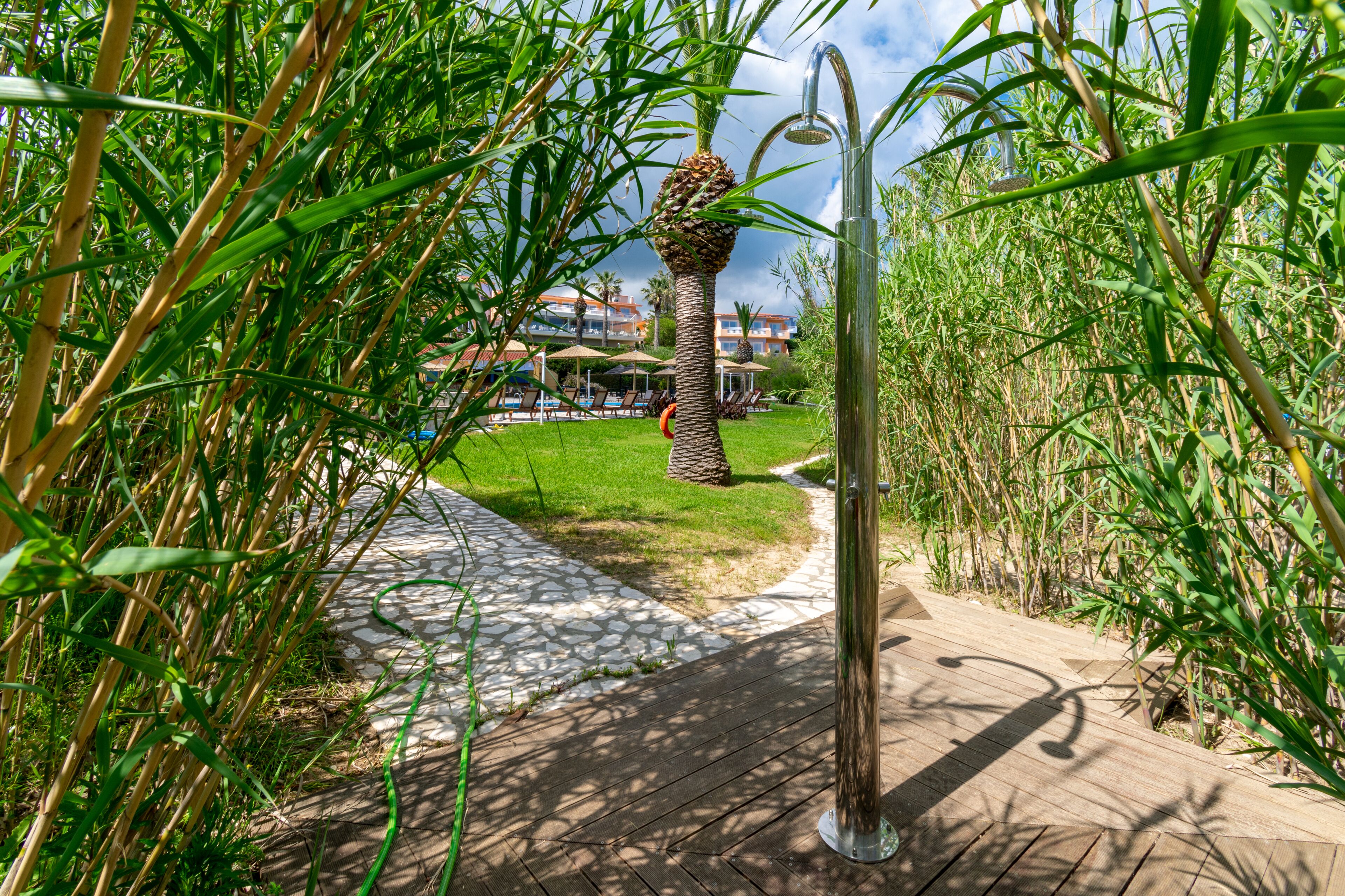 Un chemin mène à un espace piscine agrémenté de parasols et de chaises longues, le tout entouré de verdure et d’un palmier.