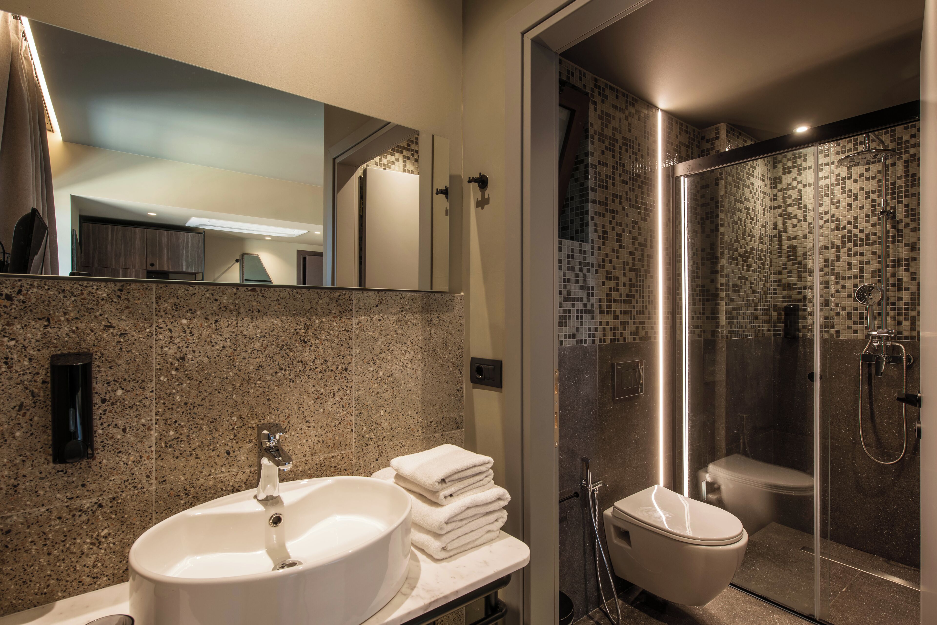 A modern bathroom with a large sink, a toilet, and a glass-enclosed shower area.