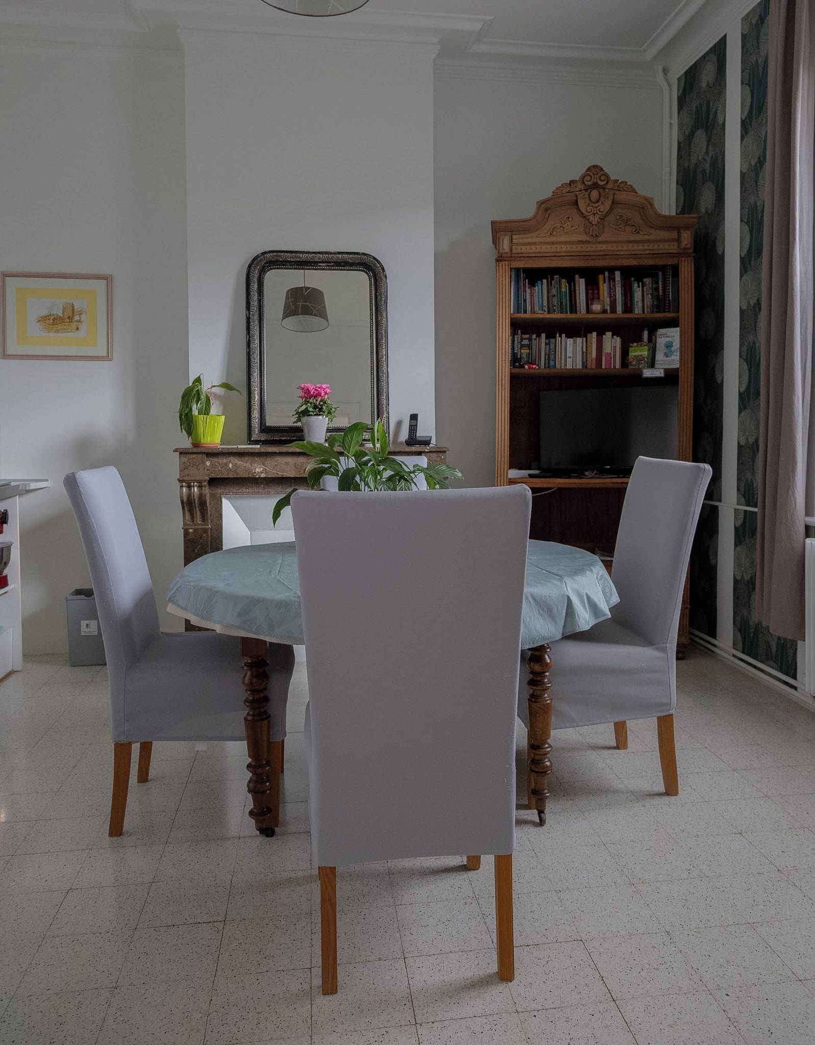A dining area with a table and four chairs, a bookshelf, a mirror, and a potted plant.